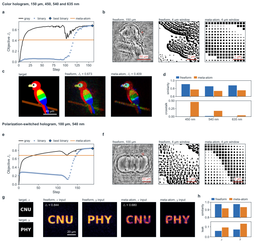 Color hologram and polarization-switched hologram with targets, layouts and reconstructed images